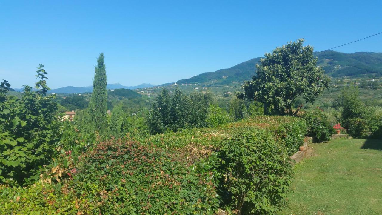 Il Fienile Del Colle Villa Pescia Eksteriør bilde